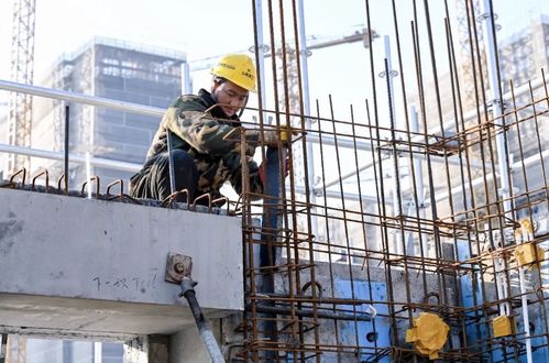 上海临港建设公司55个项目开启 加速跑 ,顶尖科学家社区首批保租房预计11月竣工